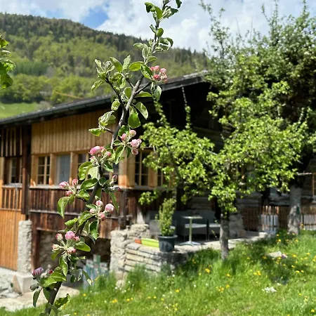 Chalet Bruenig Meiringen Exterior photo