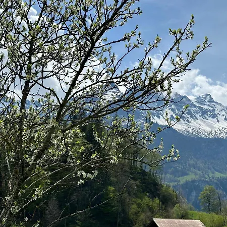 Chalet Bruenig Meiringen Exterior photo
