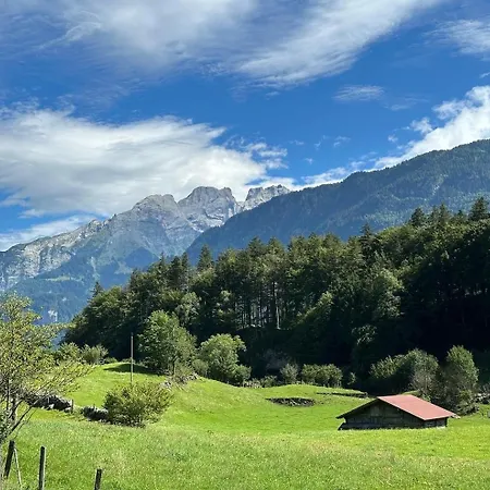 Chalet Bruenig Meiringen Exterior photo