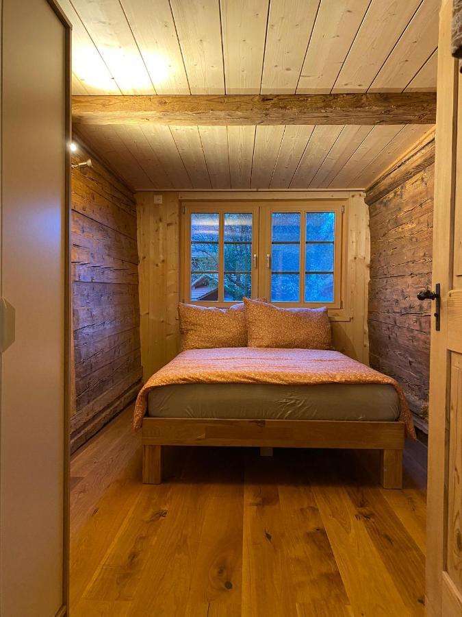 Bruenig Apartment Meiringen