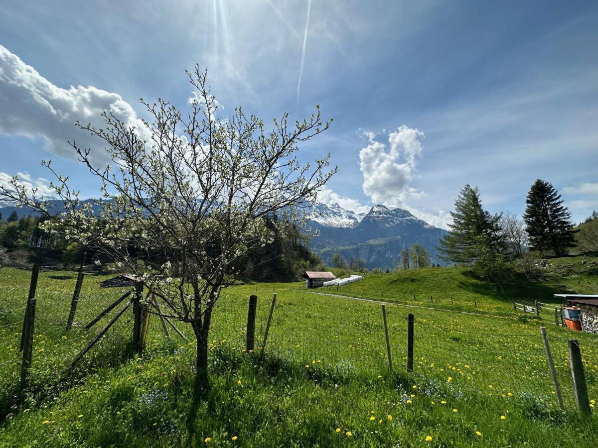 Bruenig Apartment Meiringen