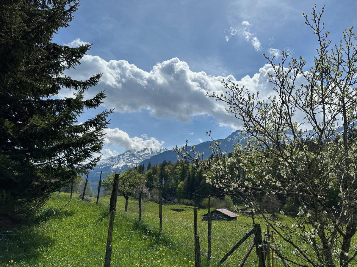 Bruenig Apartment Meiringen
