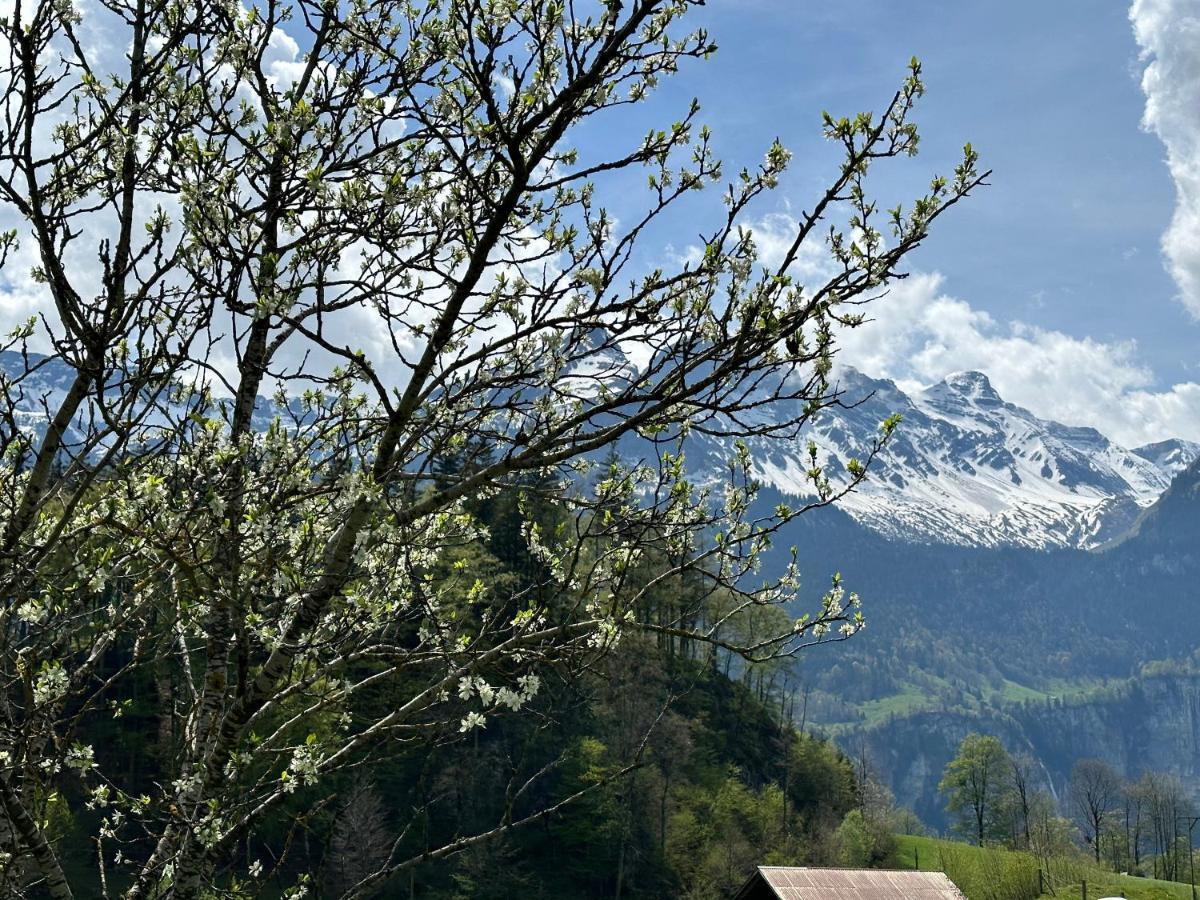 Appartement Bruenig