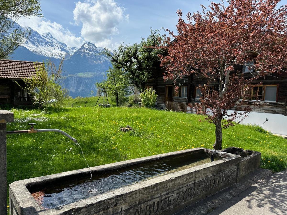 Bruenig * Meiringen