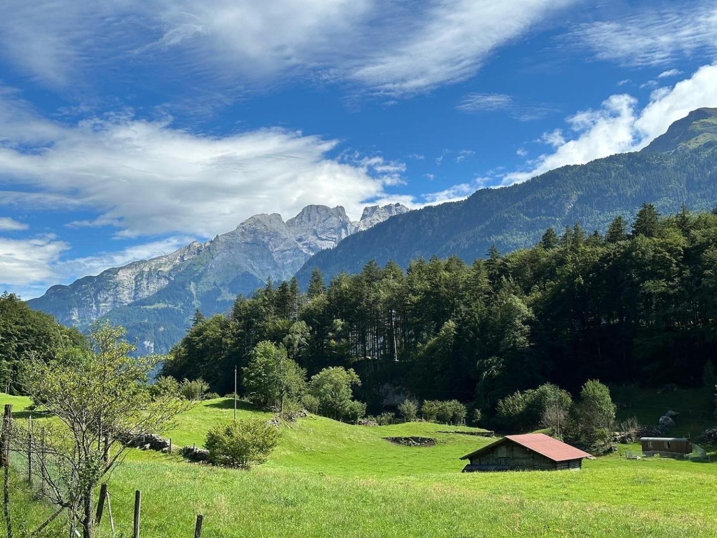 Bruenig Apartment Meiringen